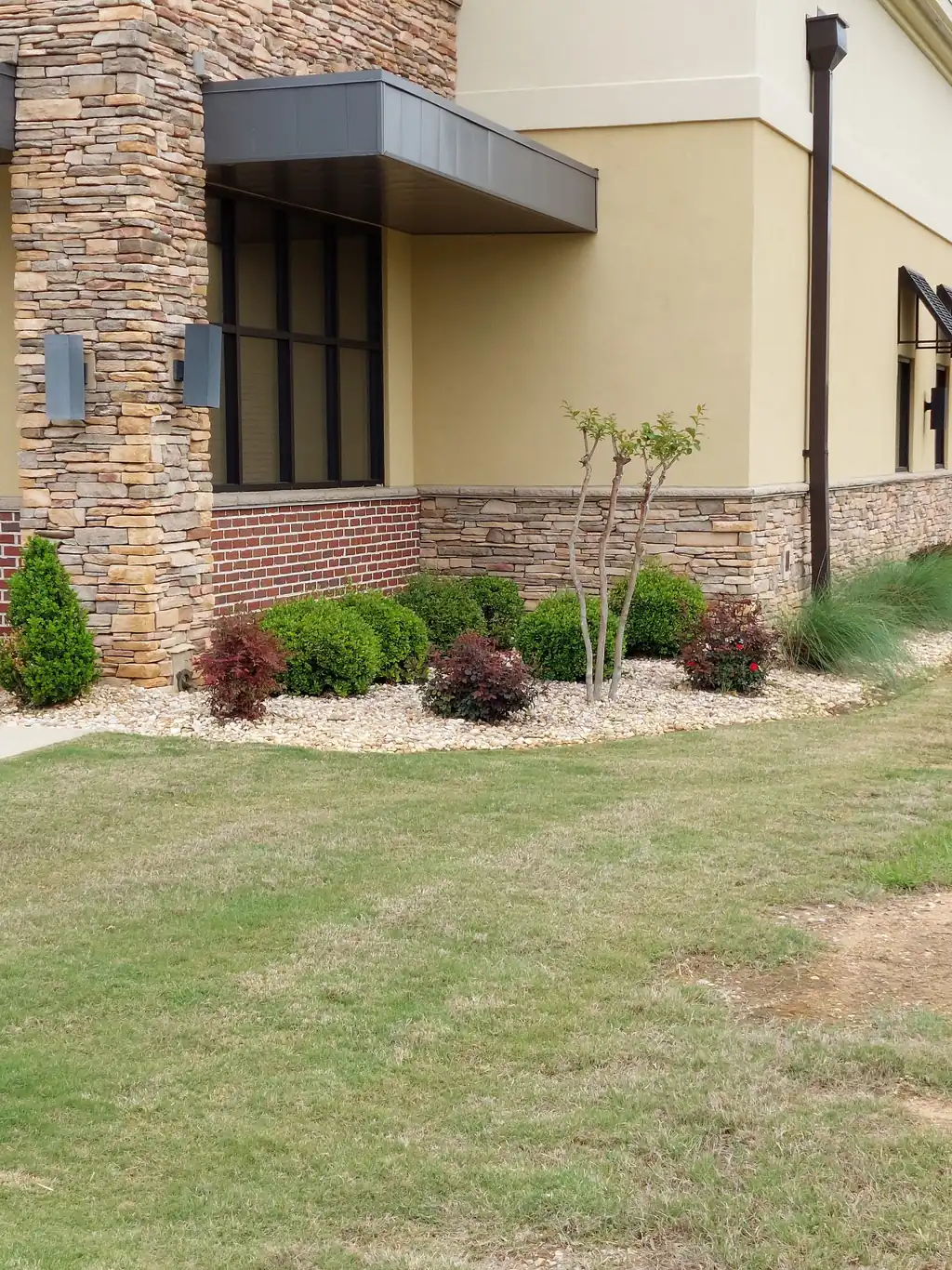 Commercial landscape planting with a white river-rock bed, clipped boxwood and crape myrtle against a stacked-stone building